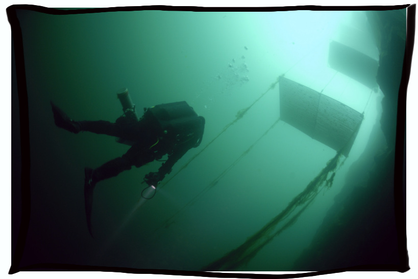 The dive grids